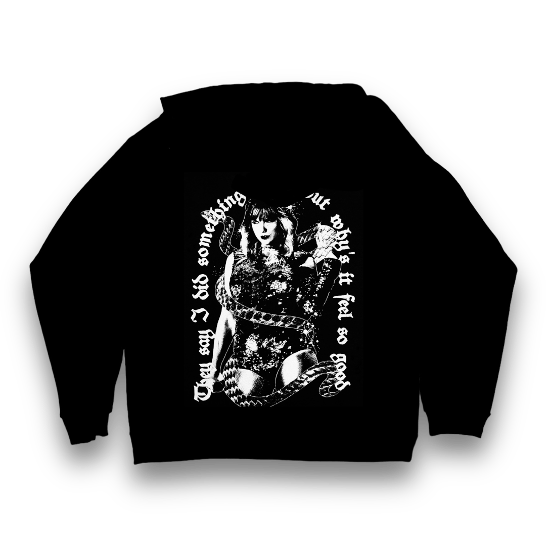 I Did Something Bad hoodie